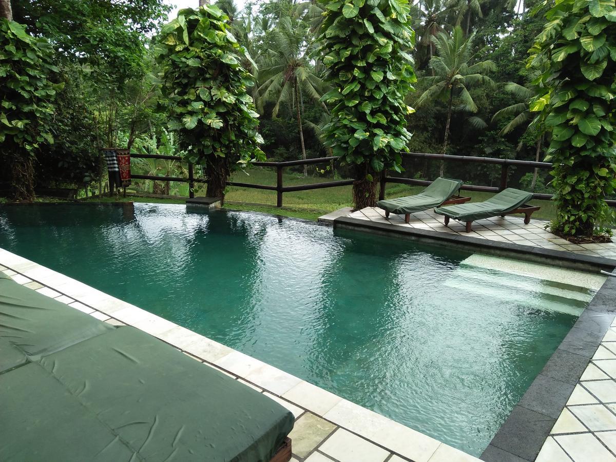 Villa Gaia Ubud  Ngoại thất bức ảnh